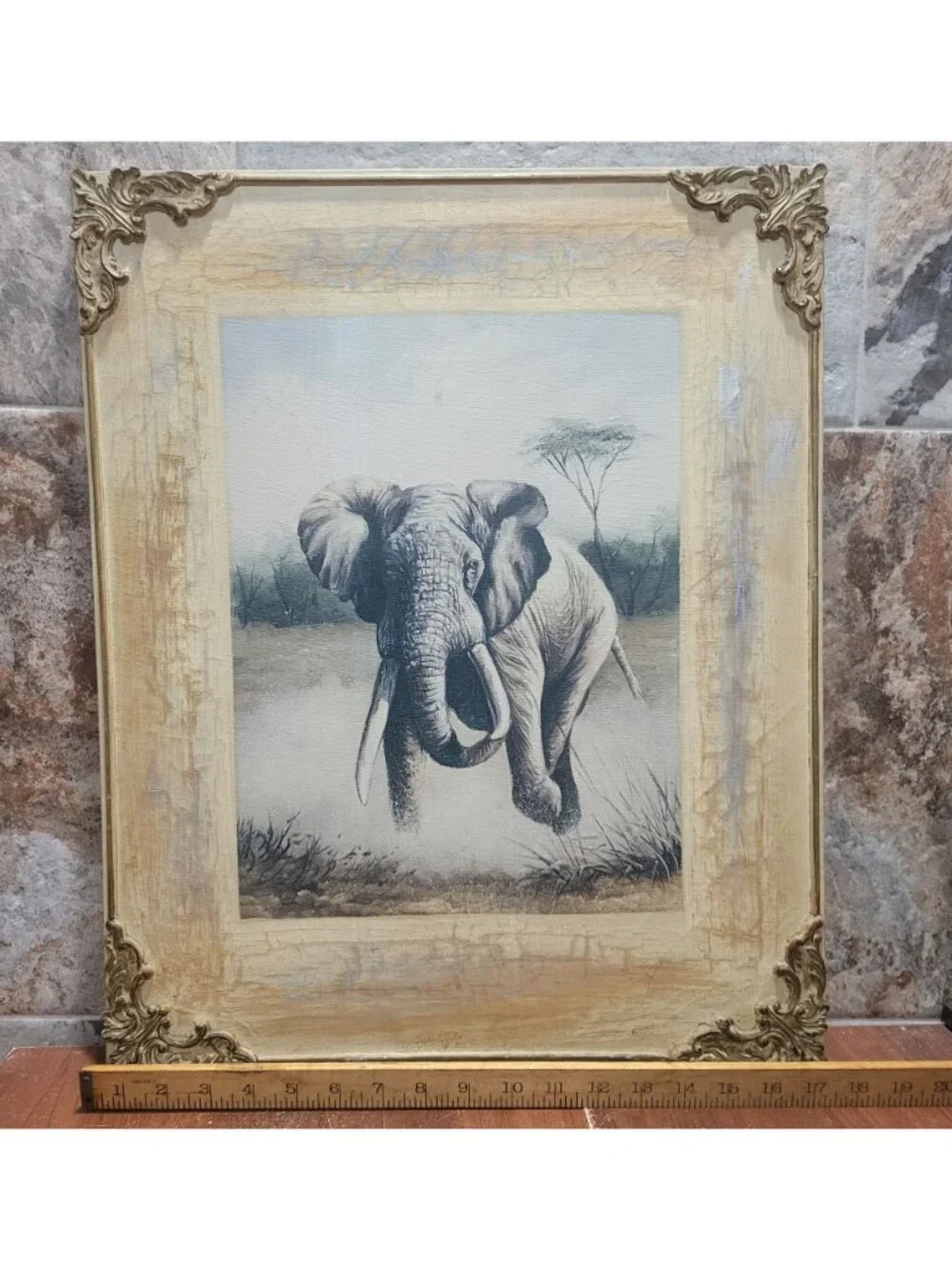 Charging Elephant Stretched Canvas Wall Art Print Wooden Frame